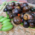 Cách nấu canh ốc không nhớt, không tanh, chuẩn vị 3 miền