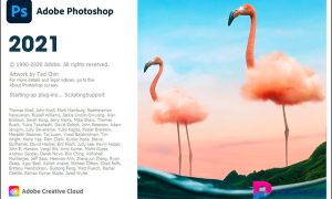 Học photoshop cc 2021: Top 3 điều thú vị